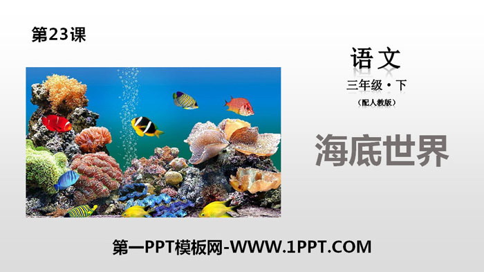 图片[1]-《海底世界》PPT免费下载-第一PPT