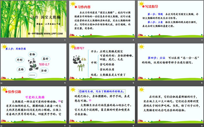 图片[2]-《国宝大熊猫》PPT课件-第一PPT