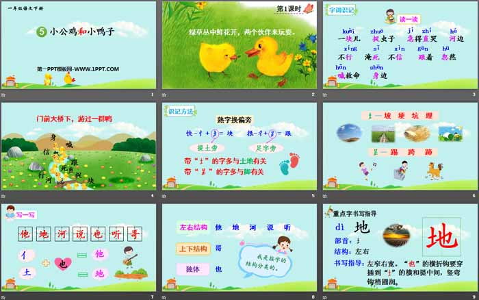 图片[2]-《小公鸡和小鸭子》PPT免费下载-第一PPT