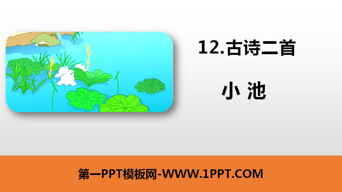 图片[1]-《小池》古诗二首PPT课件-第一PPT