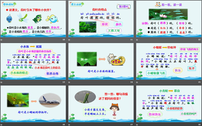 图片[3]-《荷叶圆圆》PPT课件下载-第一PPT