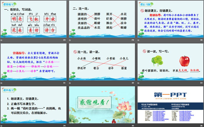 图片[5]-《荷叶圆圆》PPT课件下载-第一PPT