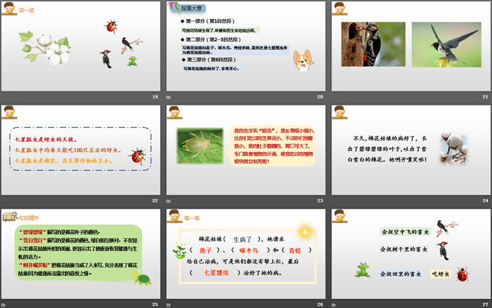 图片[4]-《棉花姑娘》PPT课件下载-第一PPT