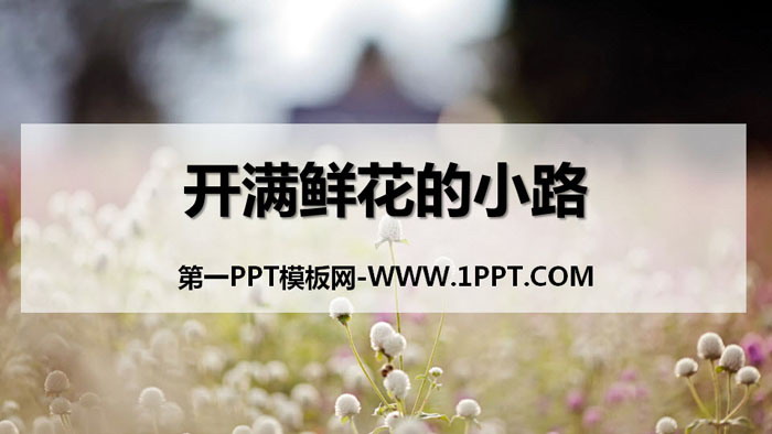 图片[1]-《开满鲜花的小路》PPT课件下载-第一PPT