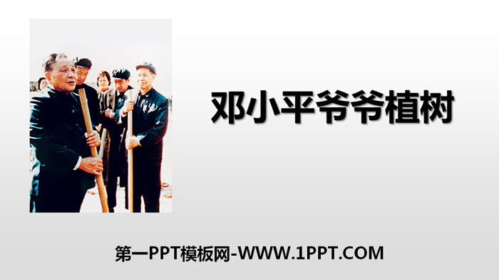 图片[1]-《邓小平爷爷植树》PPT免费课件-第一PPT