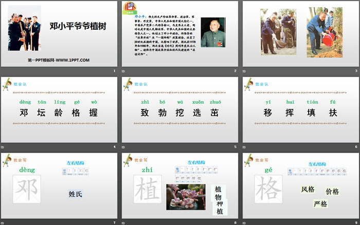 图片[2]-《邓小平爷爷植树》PPT免费课件-第一PPT