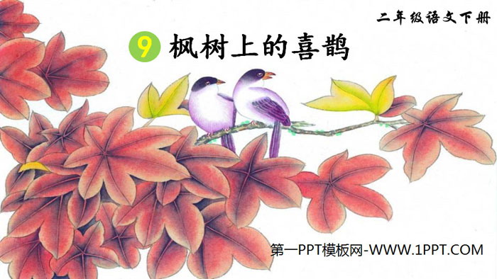 图片[1]-《枫树上的喜鹊》PPT课件下载-第一PPT