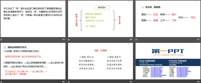 图片[4]-《枫树上的喜鹊》PPT课件(第2课时)-第一PPT