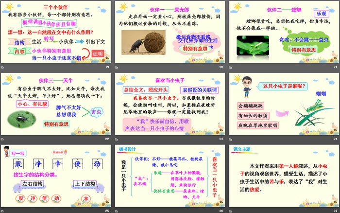 图片[4]-《我是一只小虫子》PPT免费课件-第一PPT