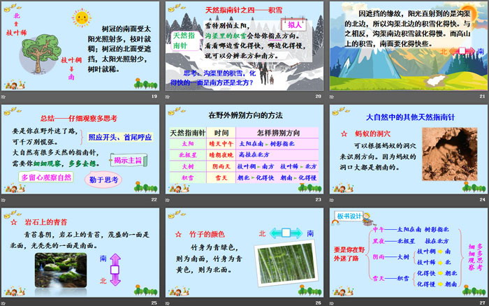 图片[4]-《要是你在野外迷了路》PPT免费课件-第一PPT