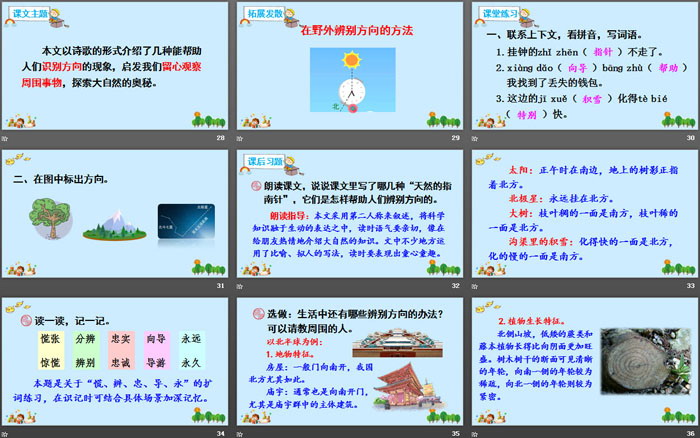 图片[5]-《要是你在野外迷了路》PPT免费课件-第一PPT