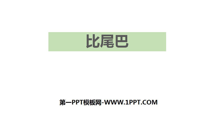 图片[1]-《比尾巴》PPT优质课件-第一PPT