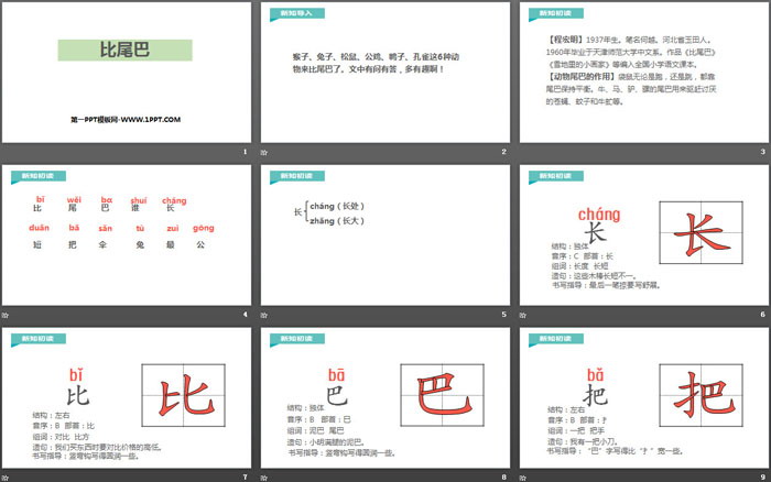 图片[2]-《比尾巴》PPT优质课件-第一PPT