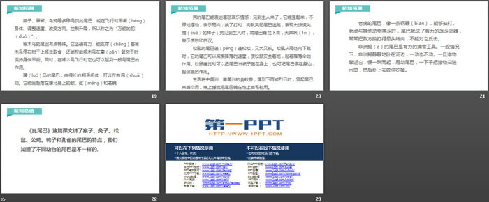 图片[4]-《比尾巴》PPT优质课件-第一PPT