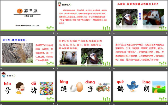 图片[2]-《寒号鸟》PPT优秀课件-第一PPT