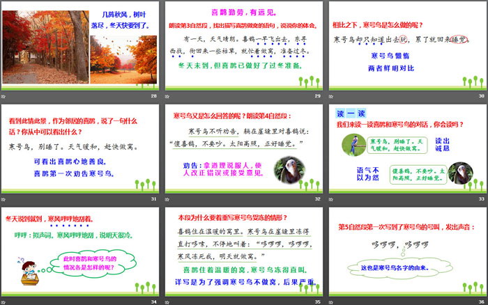 图片[5]-《寒号鸟》PPT优秀课件-第一PPT