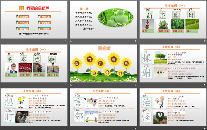 图片[2]-《我要的是葫芦》PPT优秀课件-第一PPT
