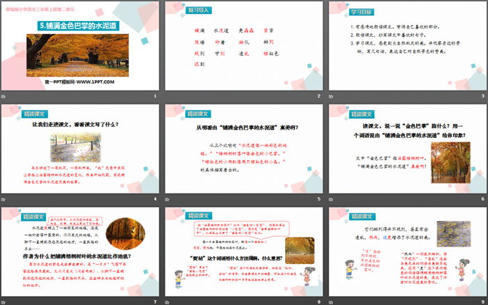 图片[2]-《铺满金色巴掌的水泥道》PPT课件下载-第一PPT