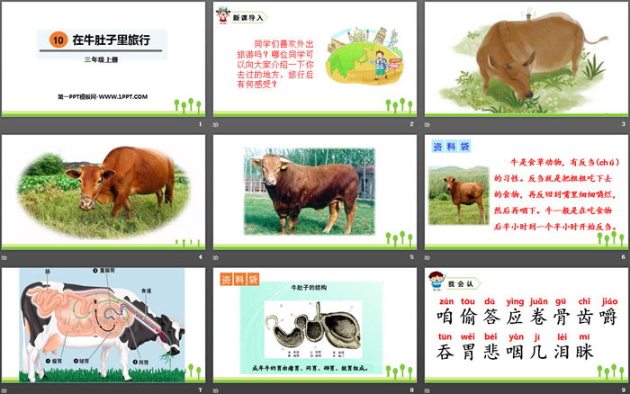 图片[2]-《在牛肚子里旅行》PPT免费课件-第一PPT