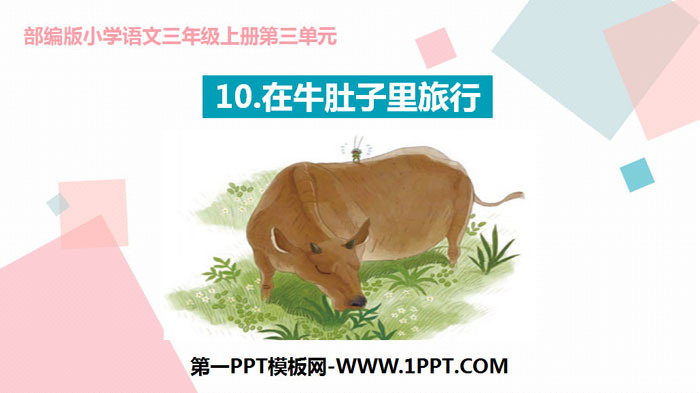 图片[1]-《在牛肚子里旅行》PPT优质课件-第一PPT