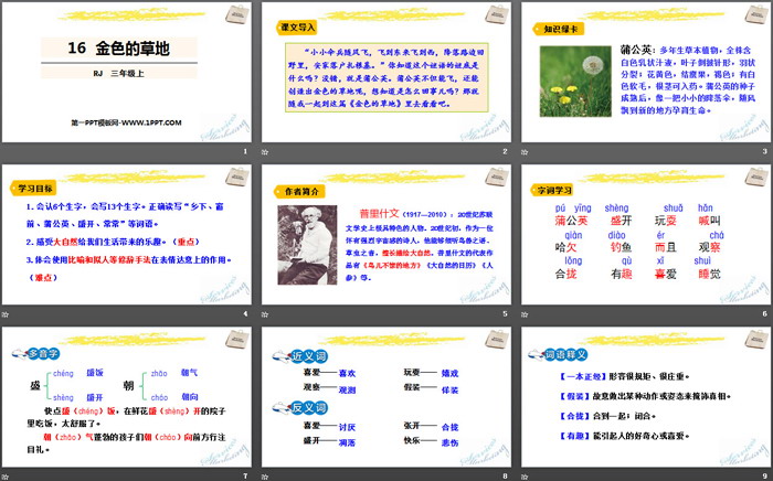 图片[2]-《金色的草地》PPT优秀课件-第一PPT