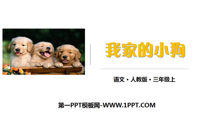 图片[1]-《我家的小狗》PPT课件-第一PPT
