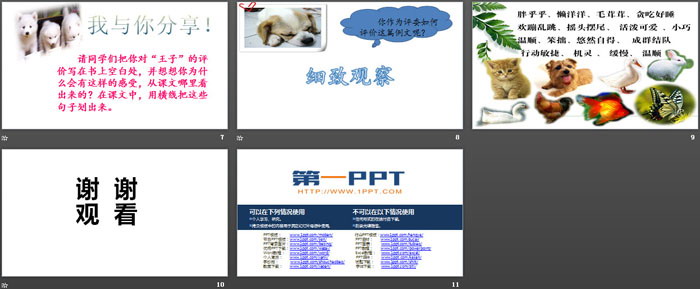 图片[3]-《我家的小狗》PPT课件-第一PPT