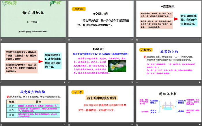 图片[2]-《语文园地五》PPT课件(三年级上册)-第一PPT