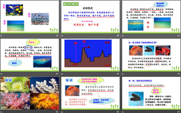 图片[4]-《富饶的西沙群岛》PPT免费课件-第一PPT