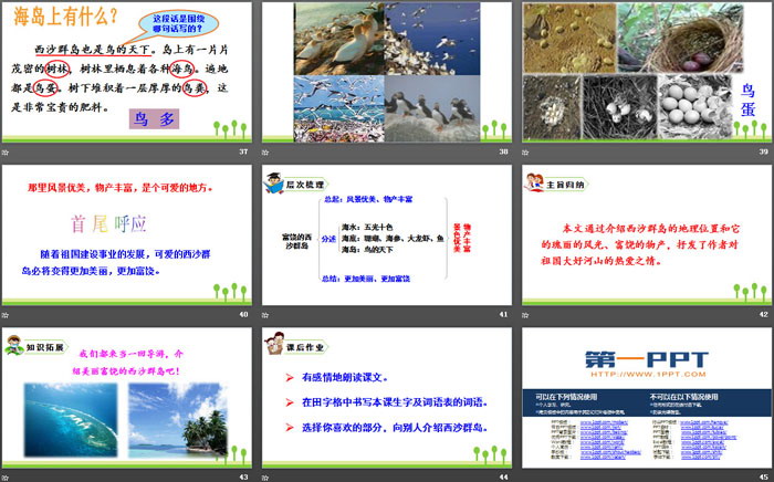 图片[6]-《富饶的西沙群岛》PPT免费课件-第一PPT