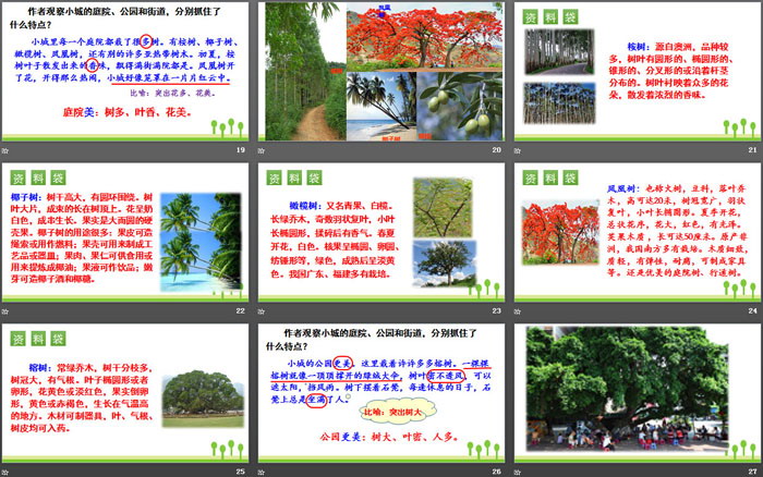 图片[4]-《海滨小城》PPT免费课件-第一PPT