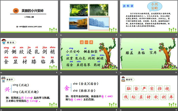 图片[2]-《美丽的小兴安岭》PPT优秀课件-第一PPT