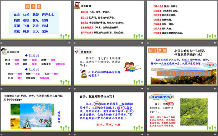 图片[3]-《美丽的小兴安岭》PPT优秀课件-第一PPT