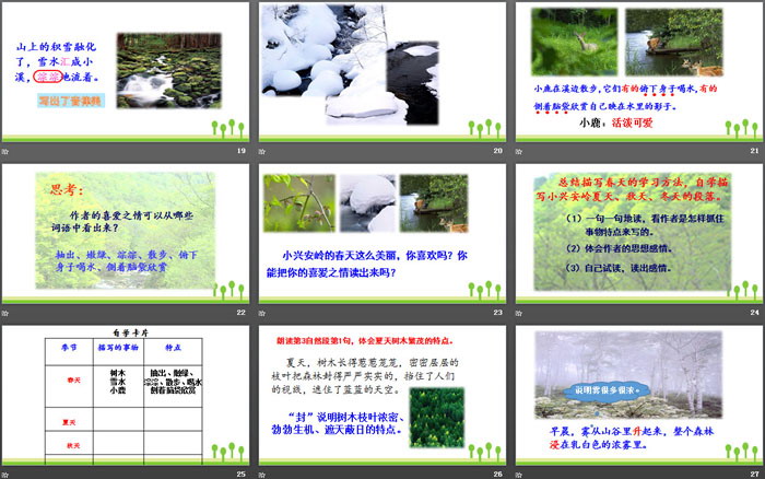 图片[4]-《美丽的小兴安岭》PPT优秀课件-第一PPT