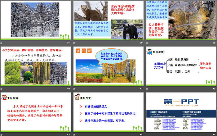 图片[6]-《美丽的小兴安岭》PPT优秀课件-第一PPT