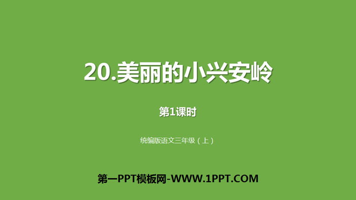 图片[1]-《美丽的小兴安岭》PPT课件(第1课时)-第一PPT