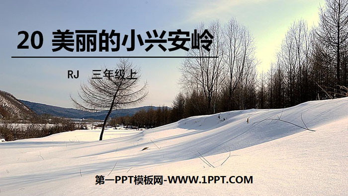 图片[1]-《美丽的小兴安岭》PPT精品课件-第一PPT