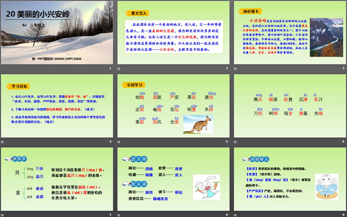 图片[2]-《美丽的小兴安岭》PPT精品课件-第一PPT