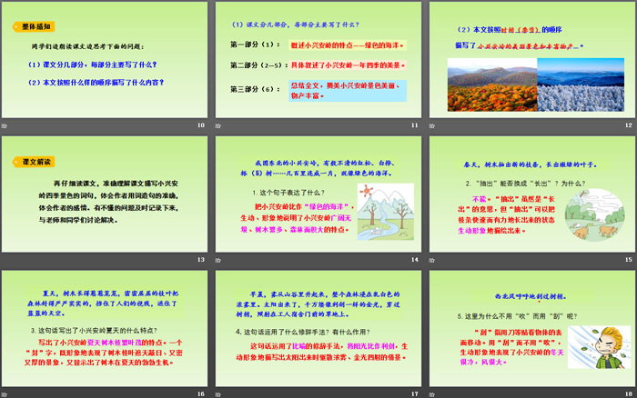图片[3]-《美丽的小兴安岭》PPT精品课件-第一PPT
