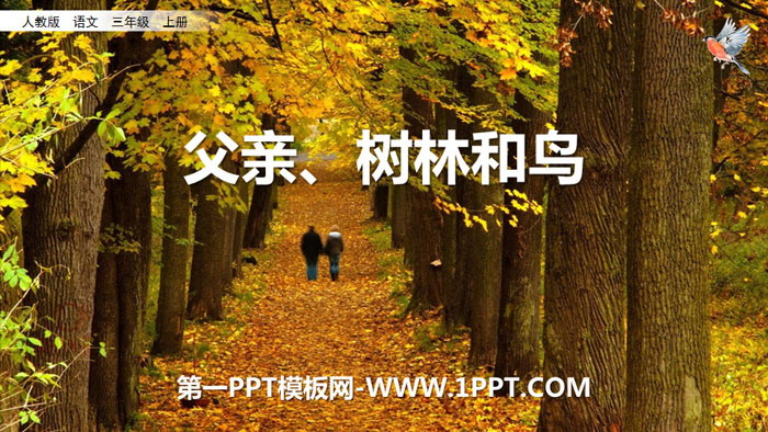 图片[1]-《父亲、树林和鸟》PPT优质课件-第一PPT