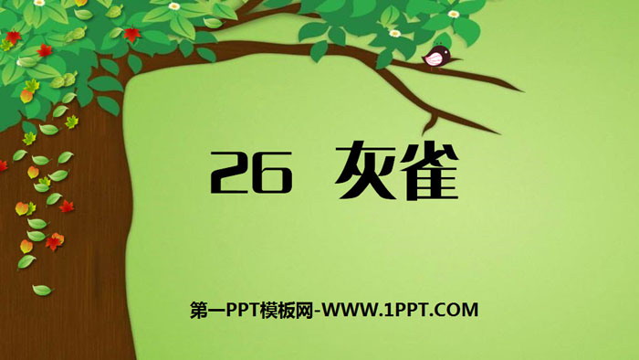 图片[1]-《灰雀》PPT优秀课件-第一PPT