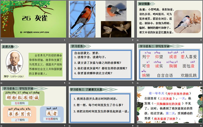 图片[2]-《灰雀》PPT优秀课件-第一PPT