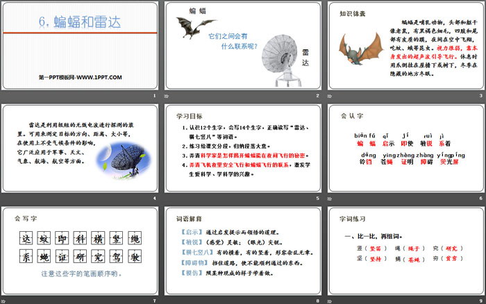 图片[2]-蝙蝠和雷达-第一PPT