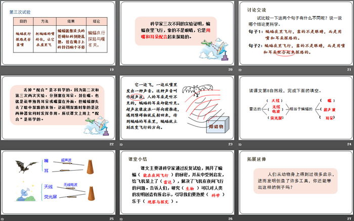 图片[4]-蝙蝠和雷达-第一PPT