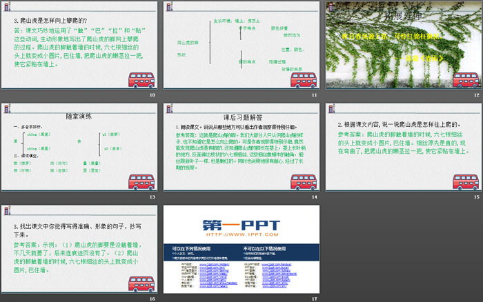 图片[3]-《爬山虎的脚》PPT课件下载-第一PPT