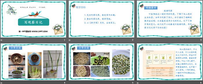 图片[2]-《写观察日记》PPT下载-第一PPT