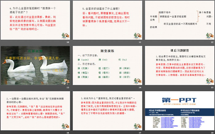 图片[3]-《牛和鹅》PPT下载-第一PPT