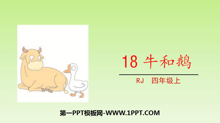 图片[1]-《牛和鹅》PPT免费课件-第一PPT