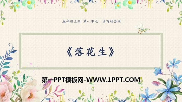 图片[1]-《落花生》PPT免费课件-第一PPT