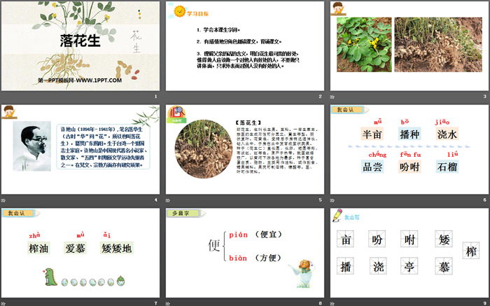 图片[2]-《落花生》PPT优秀课件-第一PPT